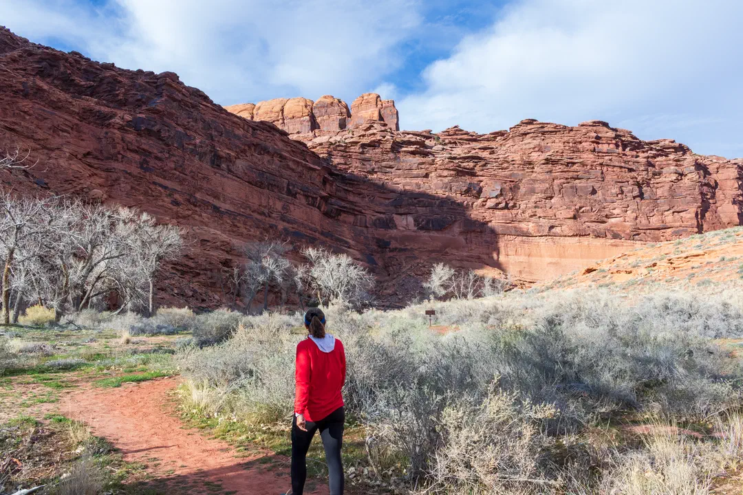 /img/Eeyore_Moab_Courthouse_Wash_Rock_Art/Eeyoree-Moab-142.png