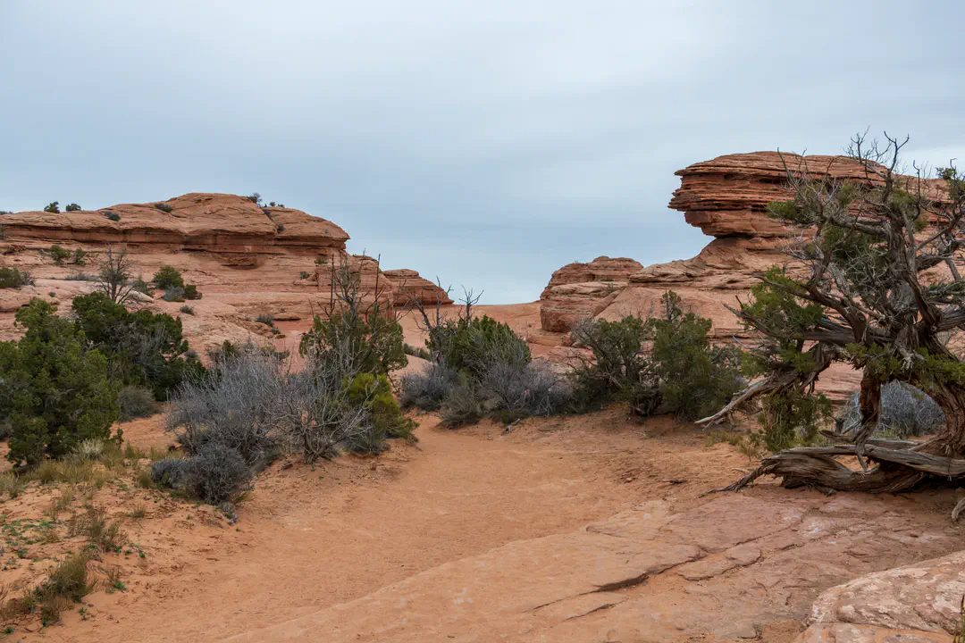 /img/Eeyore_Moab_Delicate_Arch/Eeyoree-Moab-158.png