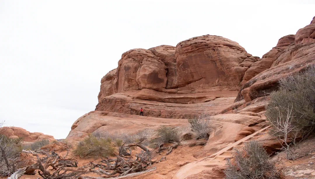 /img/Eeyore_Moab_Delicate_Arch/Eeyoree-Moab-160a.png