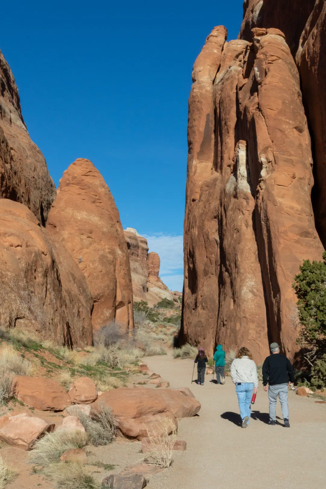 /img/Eeyore_Moab_Devils_Garden/10eyoree-Moab-63.png