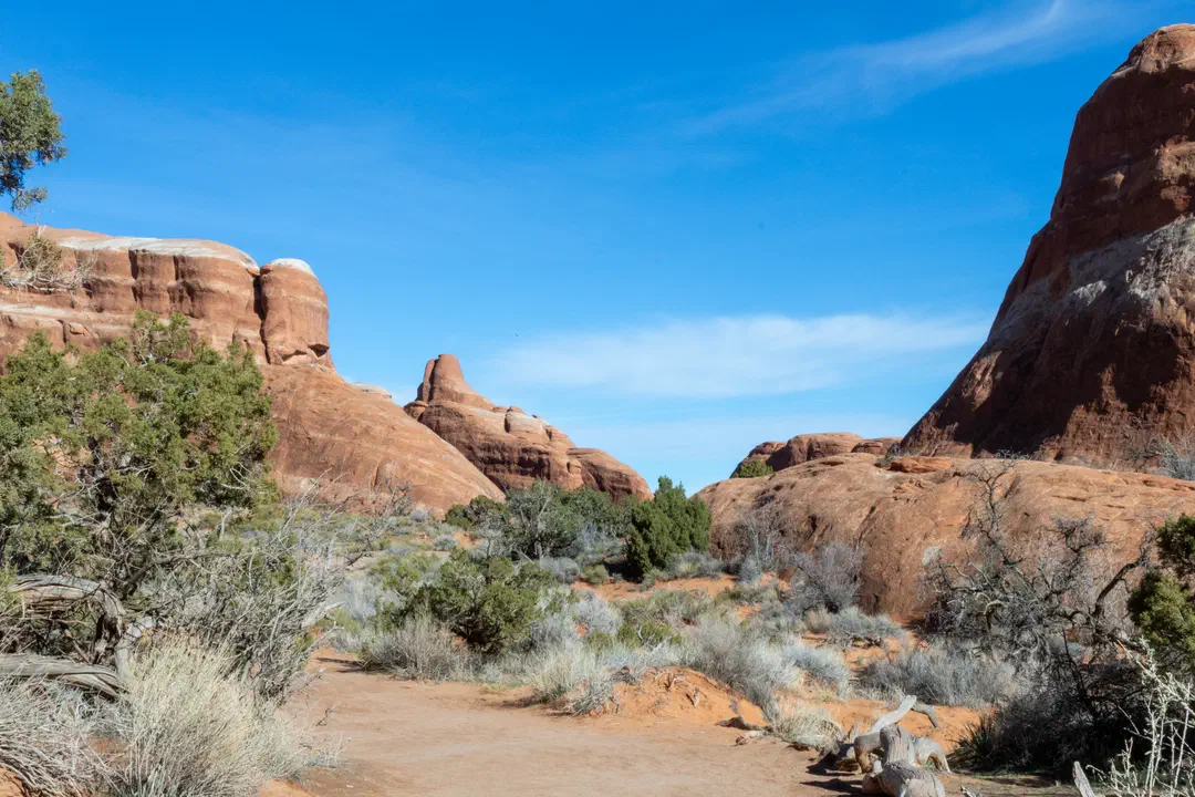 /img/Eeyore_Moab_Devils_Garden/11eyoree-Moab-64.png