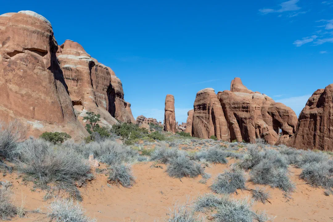 /img/Eeyore_Moab_Devils_Garden/17eyoree-Moab-70.png