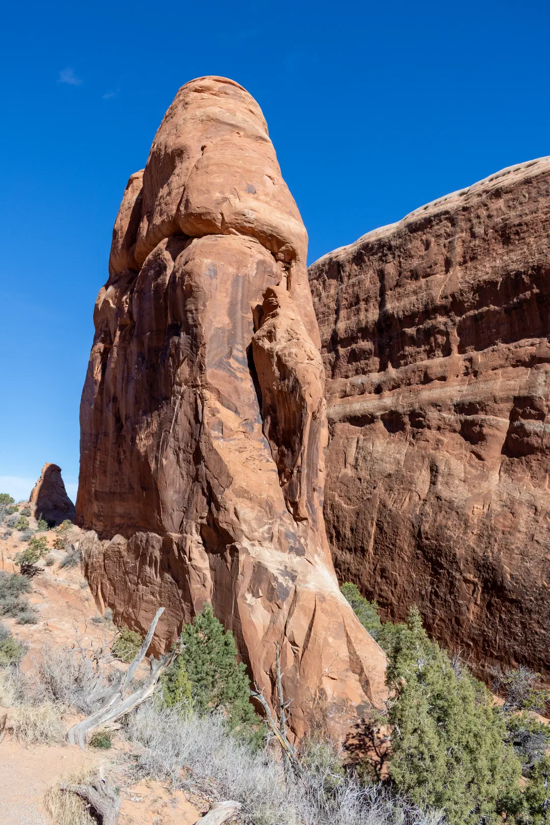 /img/Eeyore_Moab_Devils_Garden/18eyoree-Moab-71.png