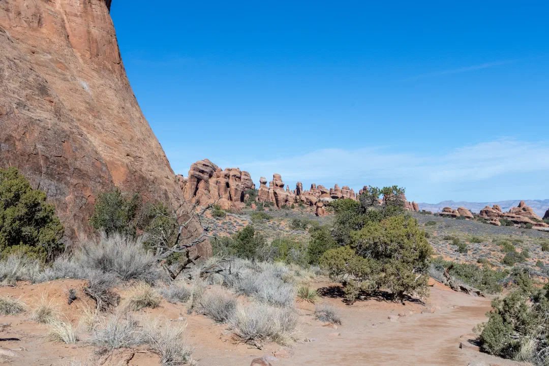/img/Eeyore_Moab_Devils_Garden/20eyoree-Moab-73.png