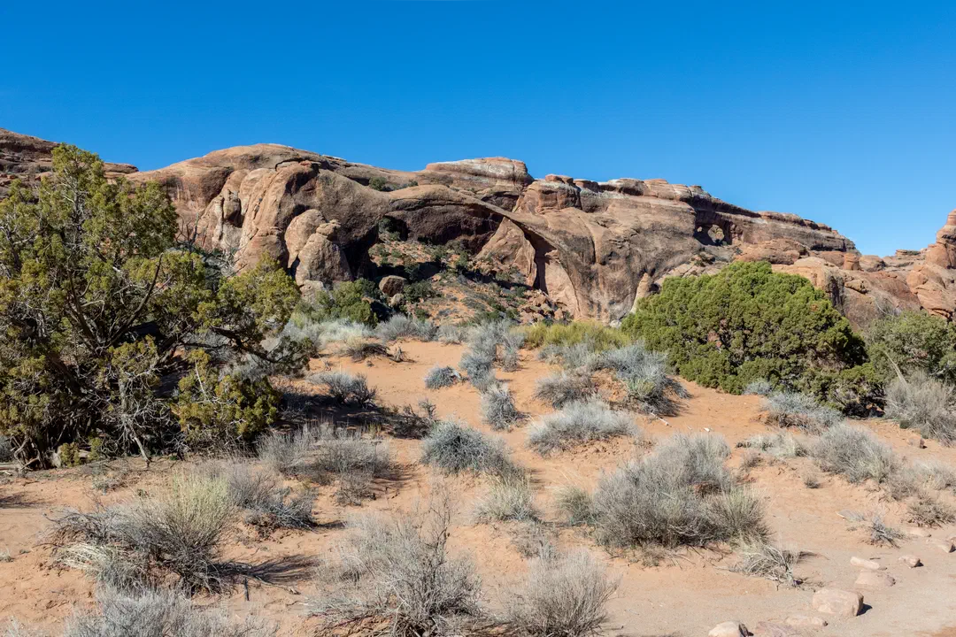 /img/Eeyore_Moab_Devils_Garden/21eyoree-Moab-74.png