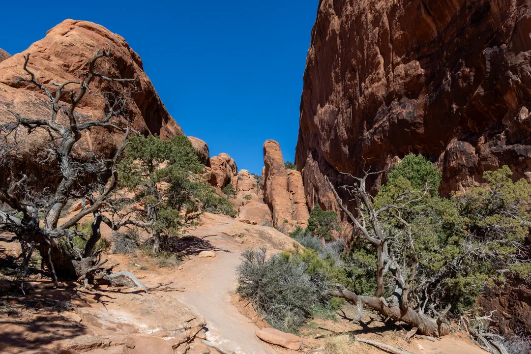 /img/Eeyore_Moab_Devils_Garden/24eyoree-Moab-77.png