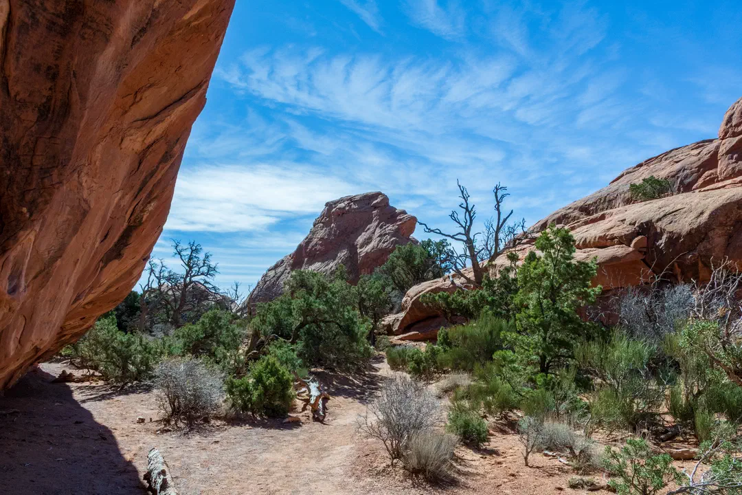 /img/Eeyore_Moab_Devils_Garden/37eyoree-Moab-90.png
