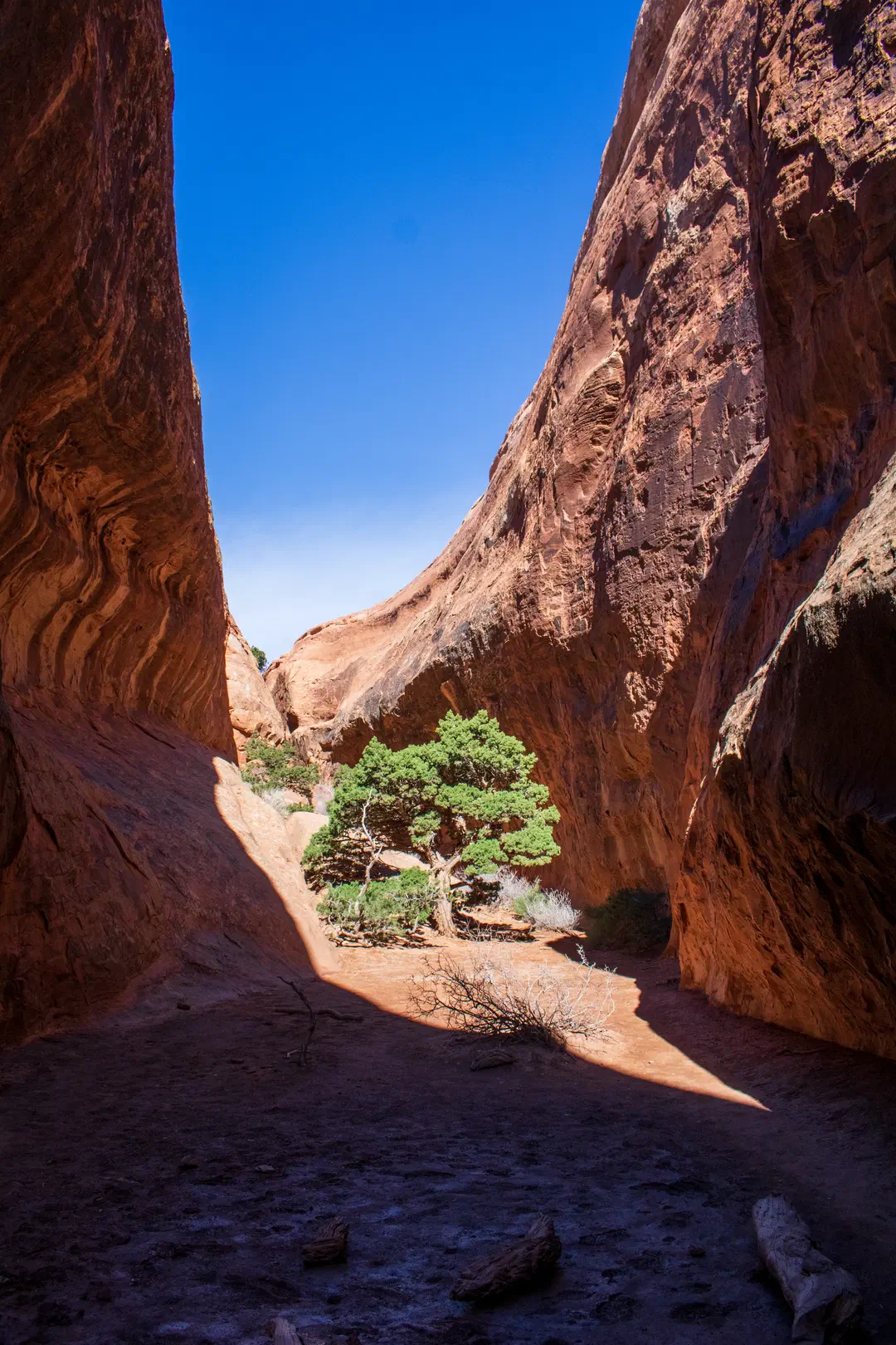 /img/Eeyore_Moab_Devils_Garden/38eyoree-Moab-91.png