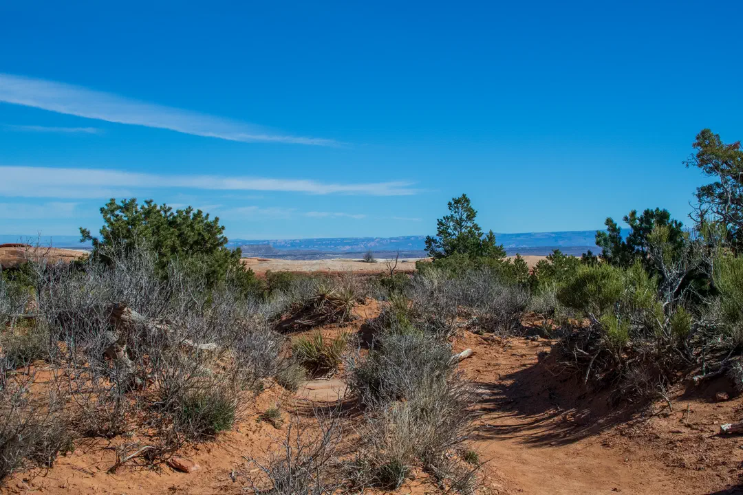 /img/Eeyore_Moab_Devils_Garden/39eyoree-Moab-93.png