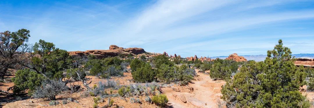 /img/Eeyore_Moab_Devils_Garden/40eyoree-Moab-94.png