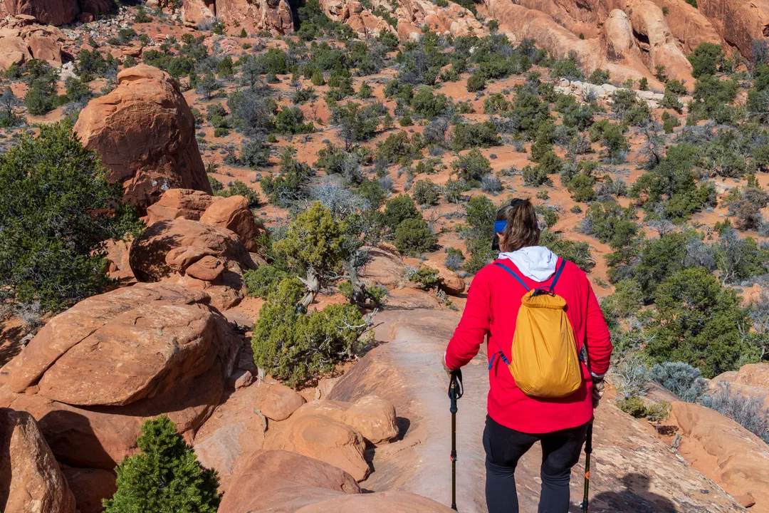 /img/Eeyore_Moab_Devils_Garden/51eyoree-Moab-105.png