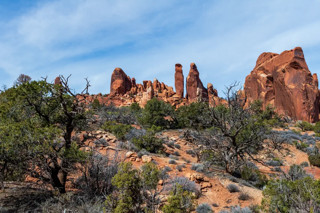 /img/Eeyore_Moab_Devils_Garden/54eyoree-Moab-108.png