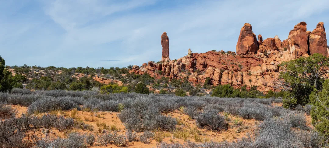 /img/Eeyore_Moab_Devils_Garden/56eyoree-Moab-110.png