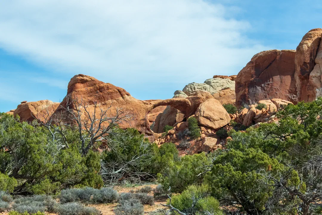 /img/Eeyore_Moab_Devils_Garden/58eyoree-Moab-112.png