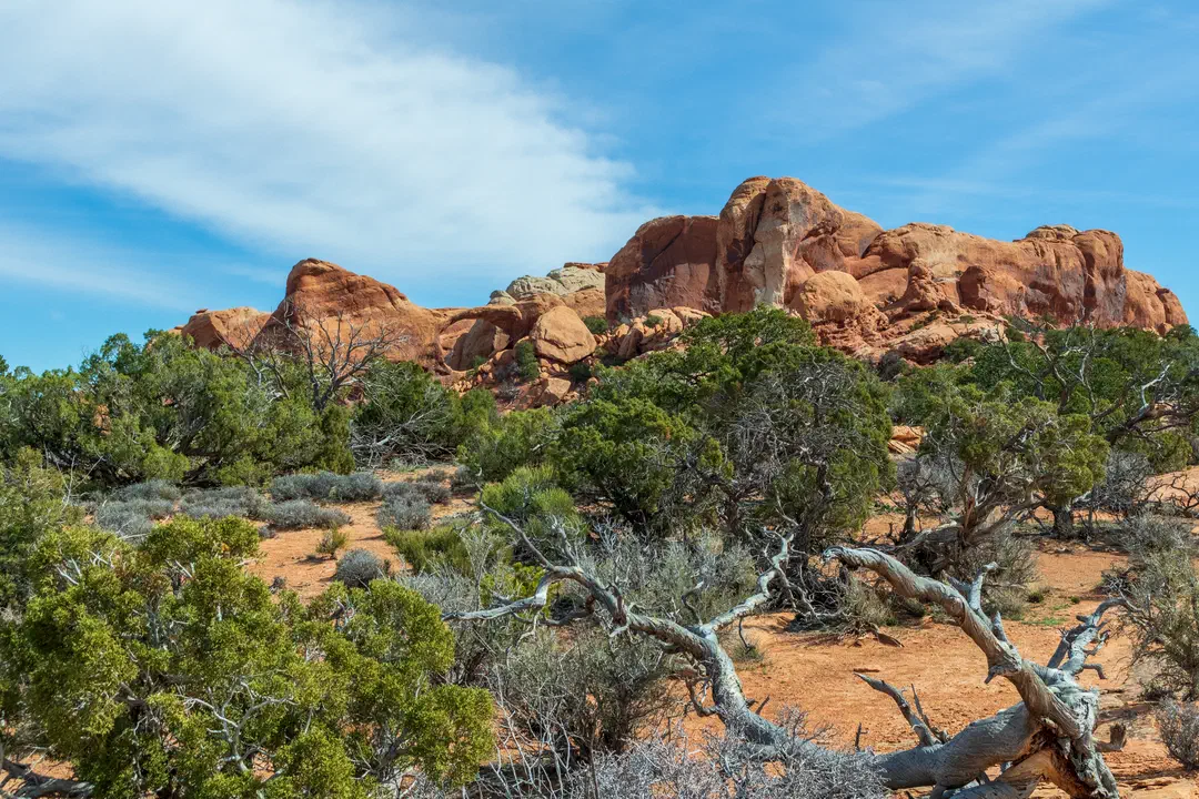 /img/Eeyore_Moab_Devils_Garden/59eyoree-Moab-113.png