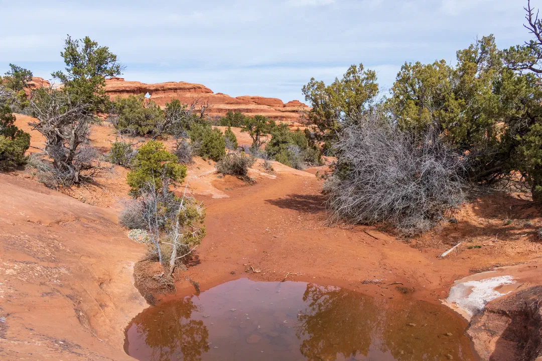 /img/Eeyore_Moab_Devils_Garden/68eyoree-Moab-122.png