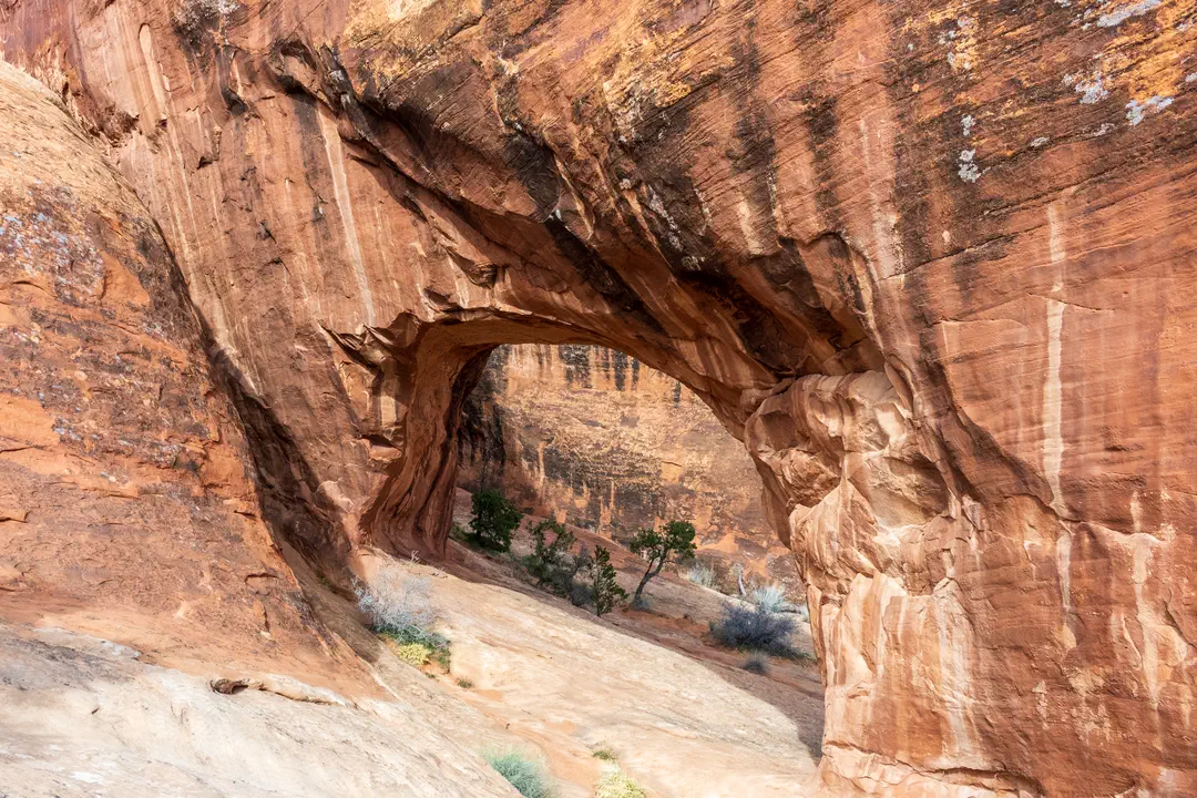 /img/Eeyore_Moab_Devils_Garden/70eyoree-Moab-124.png