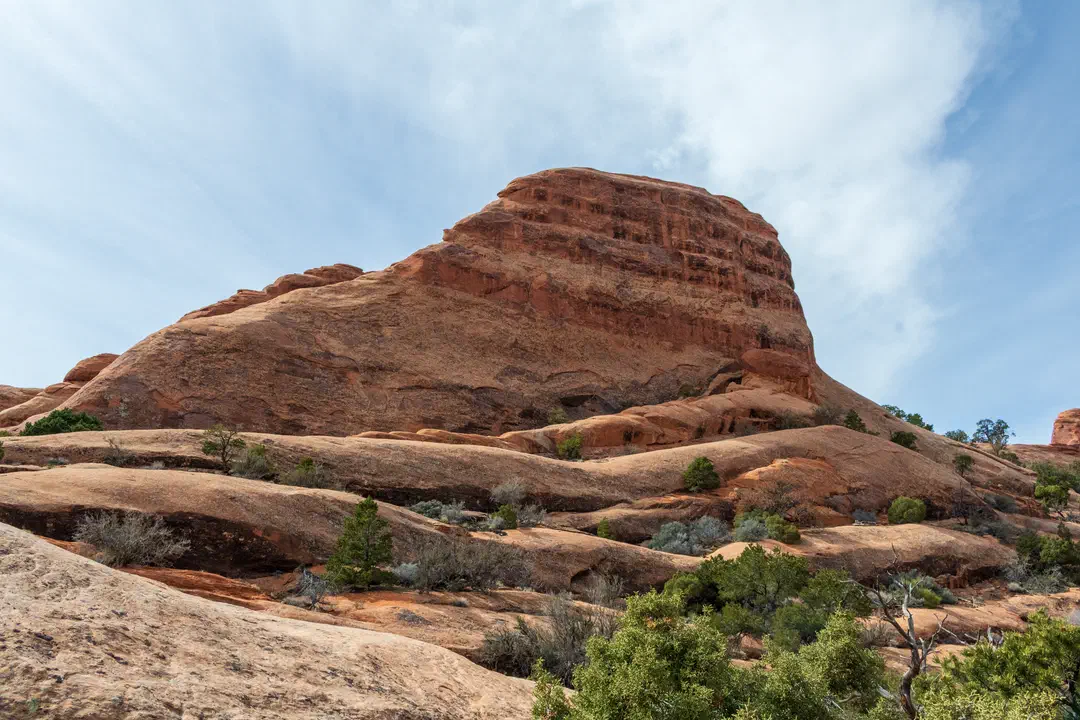 /img/Eeyore_Moab_Devils_Garden/71eyoree-Moab-125.png