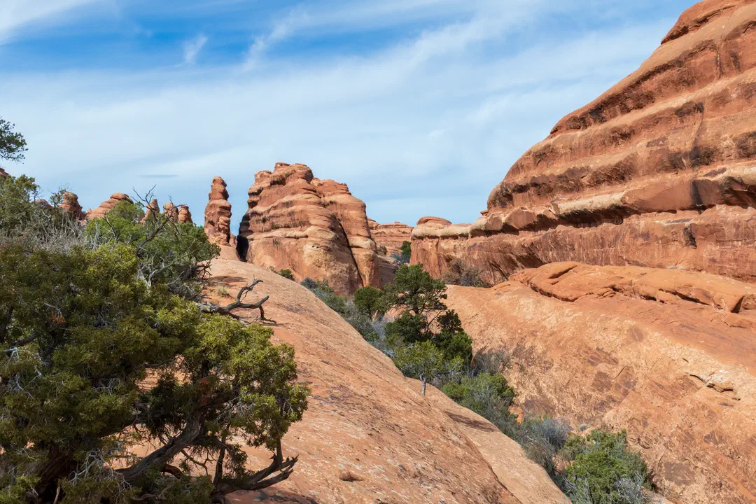 /img/Eeyore_Moab_Devils_Garden/72eyoree-Moab-126.png