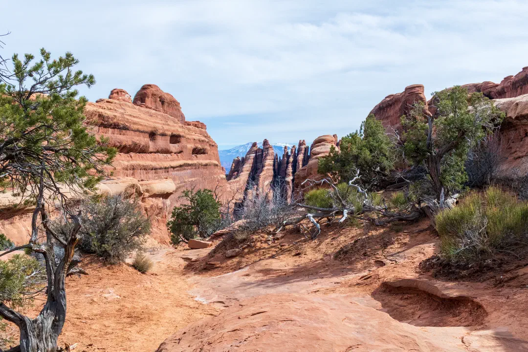 /img/Eeyore_Moab_Devils_Garden/73eyoree-Moab-127.png