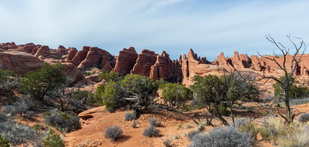 /img/Eeyore_Moab_Devils_Garden/78eyoree-Moab-132.png