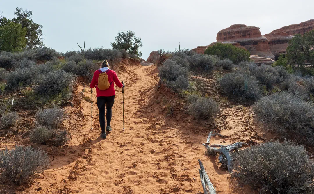 /img/Eeyore_Moab_Devils_Garden/79eyoree-Moab-133.png
