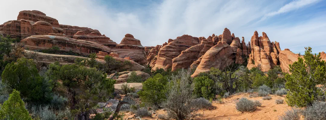 /img/Eeyore_Moab_Devils_Garden/80eyoree-Moab-134.png