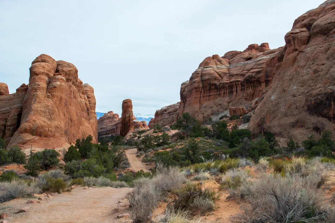 /img/Eeyore_Moab_Devils_Garden/84eyoree-Moab-138.png