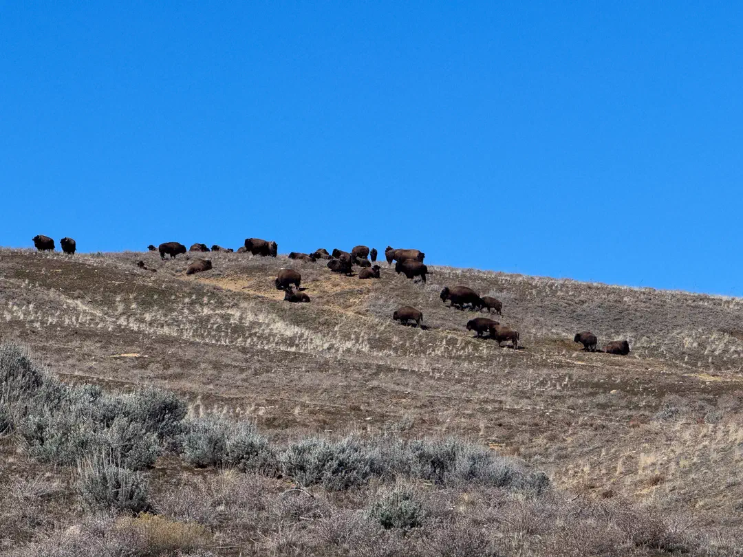 /img/Eeyore_Moab_Island/Eeyoree-Moab-16.png