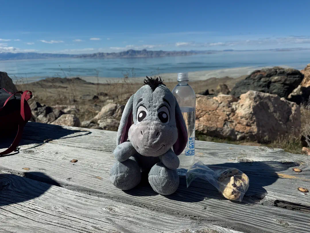 /img/Eeyore_Moab_Island/Eeyoree-Moab-17.png