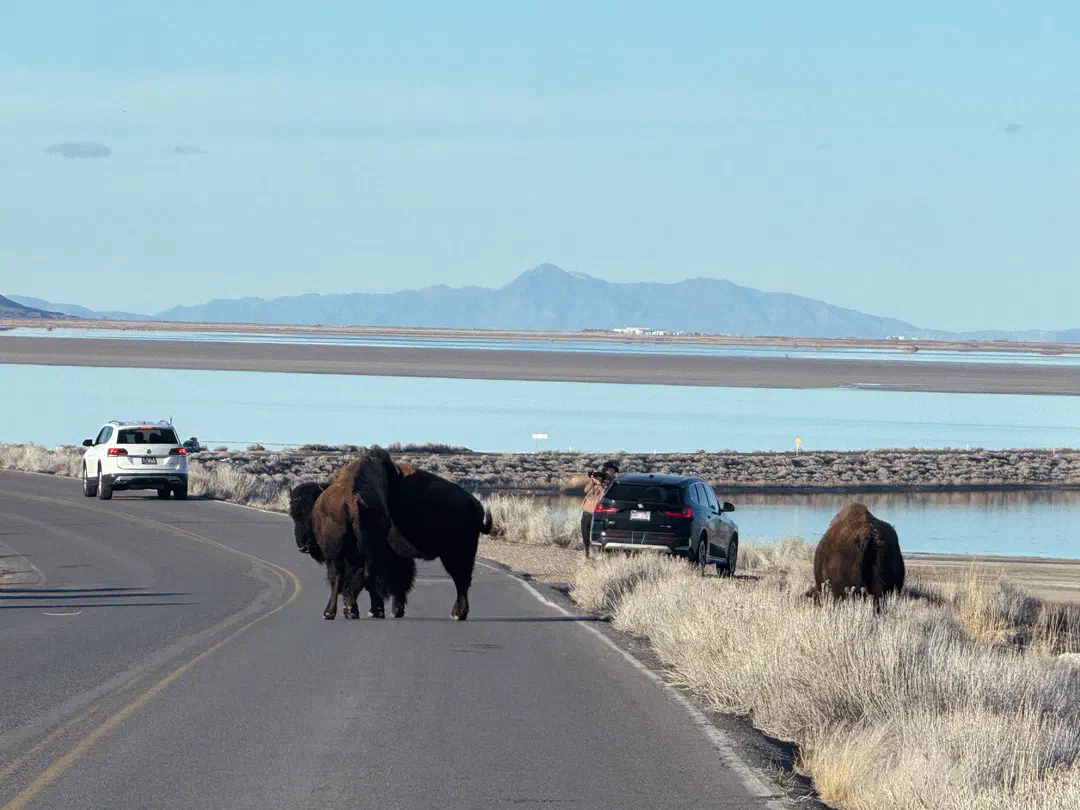 /img/Eeyore_Moab_Island/Eeyoree-Moab-24.png