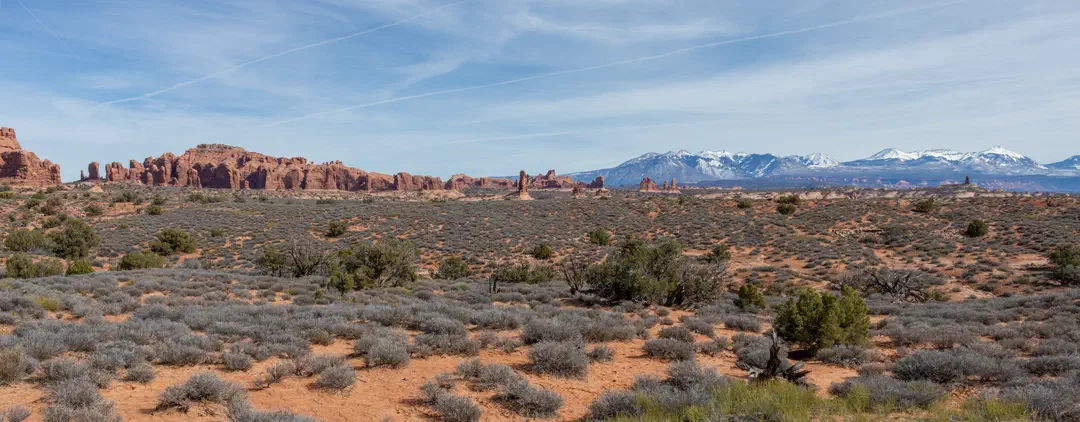 /img/Eeyore_Moab_intro/Eeyoree-Moab-15.png