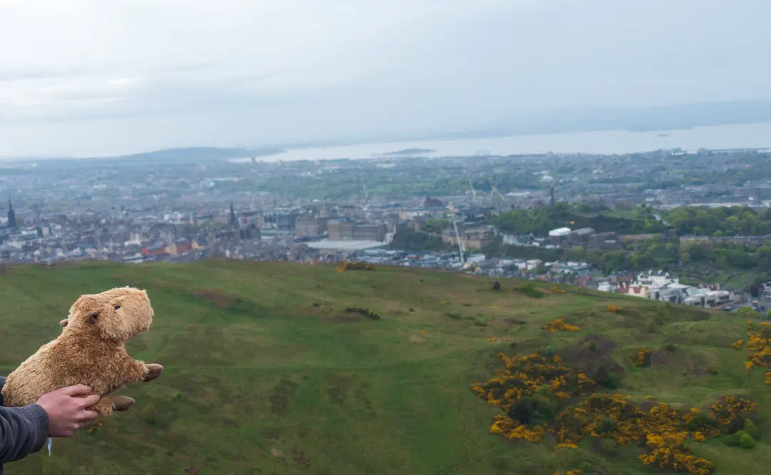 /img/ScotLand_ArthursSeat/ScottLand-415.png