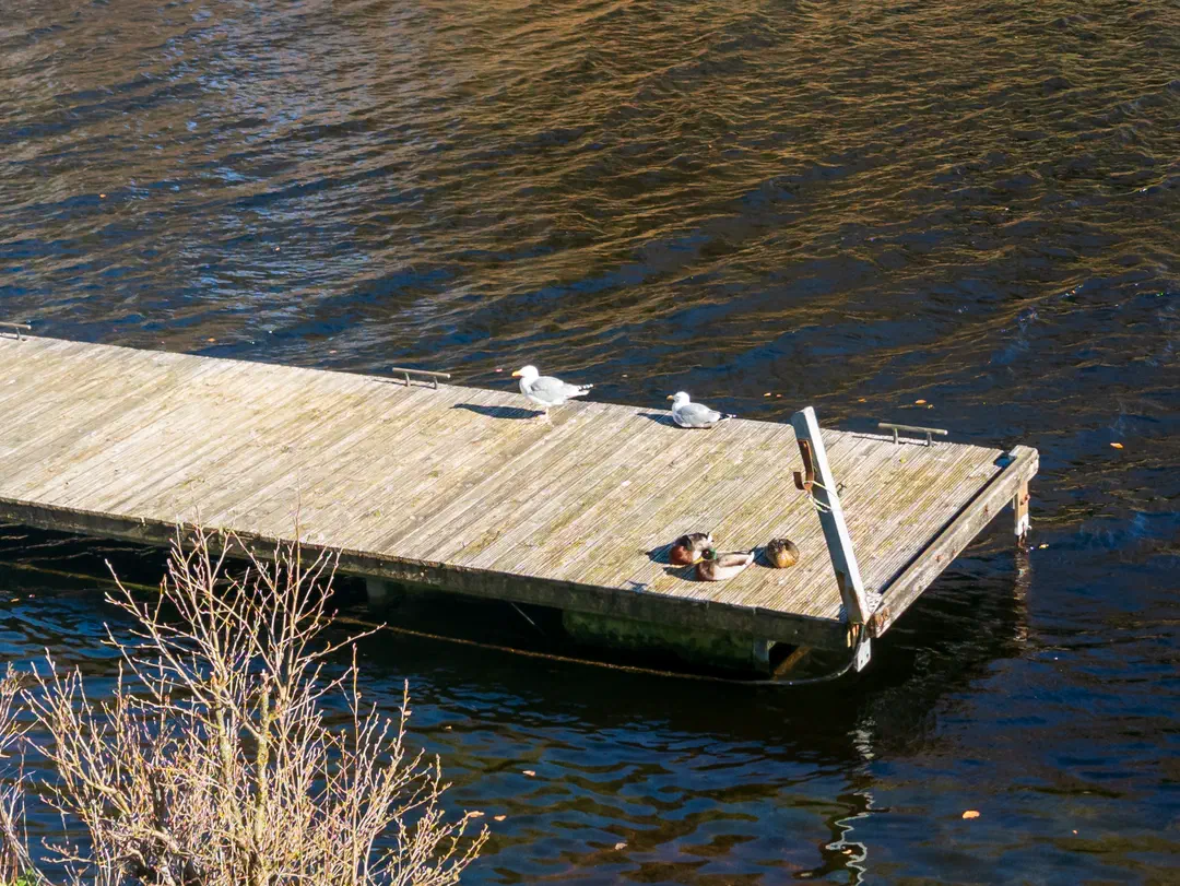 /img/ScotLand_Fort_Augustus/ScottLand-218.png