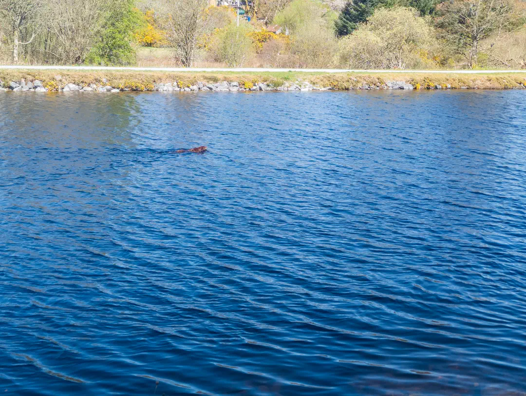 /img/ScotLand_Fort_William/ScottLand-206.png