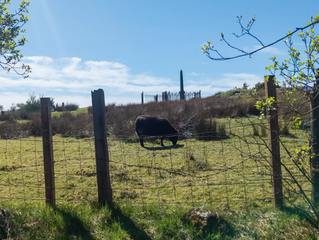 /img/ScotLand_Fort_William/ScottLand-211.png
