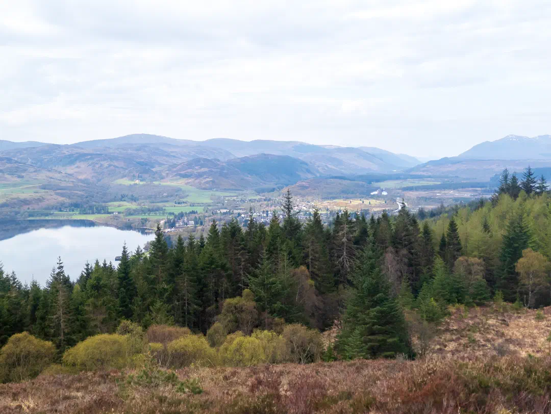 /img/ScotLand_GreatGlenWay_Day1/ScottLand-227.png