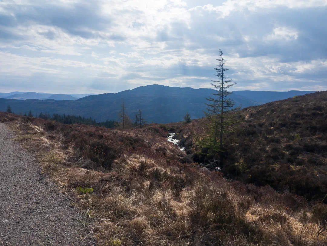 /img/ScotLand_GreatGlenWay_Day1/ScottLand-230.png