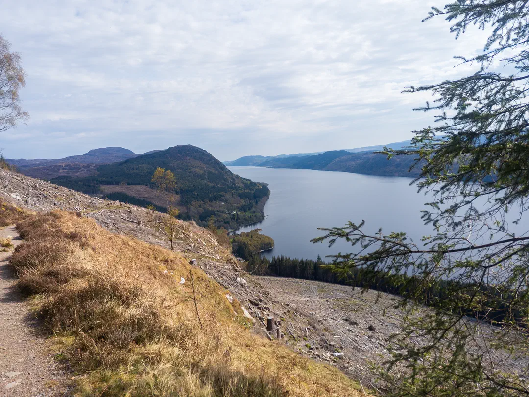 /img/ScotLand_GreatGlenWay_Day1/ScottLand-232.png