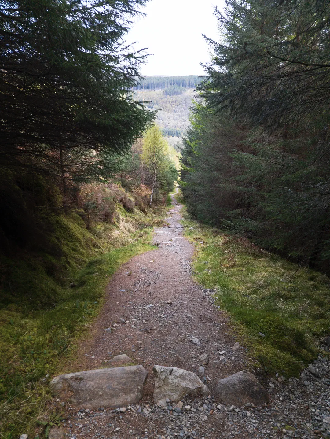 /img/ScotLand_GreatGlenWay_Day1/ScottLand-233.png