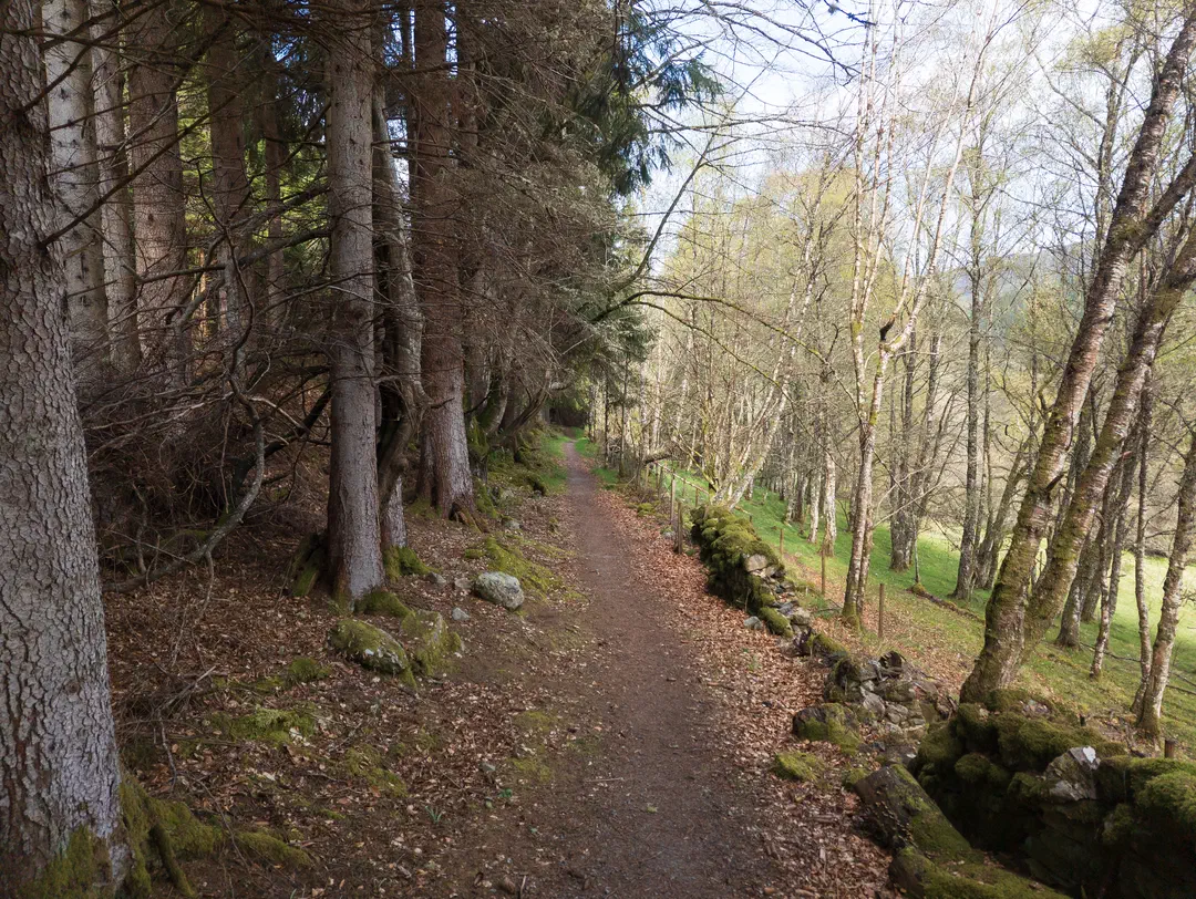 /img/ScotLand_GreatGlenWay_Day1/ScottLand-234.png