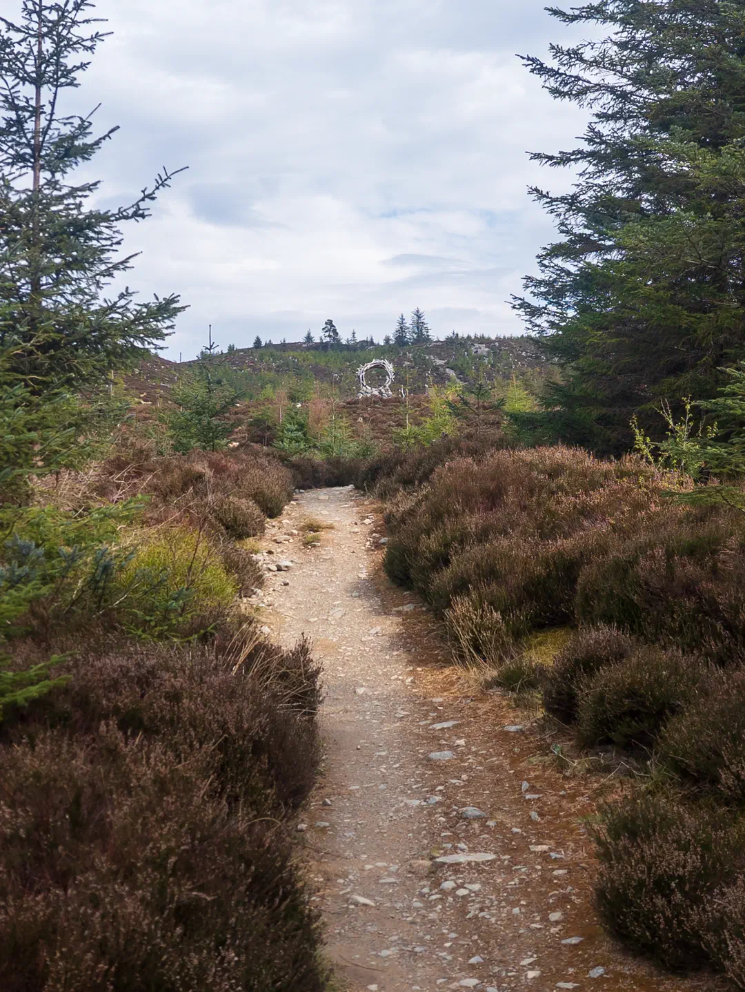 /img/ScotLand_GreatGlenWay_Day1/ScottLand-237.png