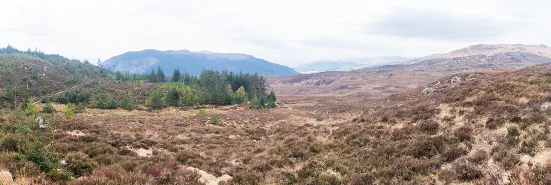 /img/ScotLand_GreatGlenWay_Day1/ScottLand-238.png