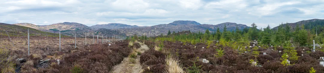 /img/ScotLand_GreatGlenWay_Day1/ScottLand-239.png