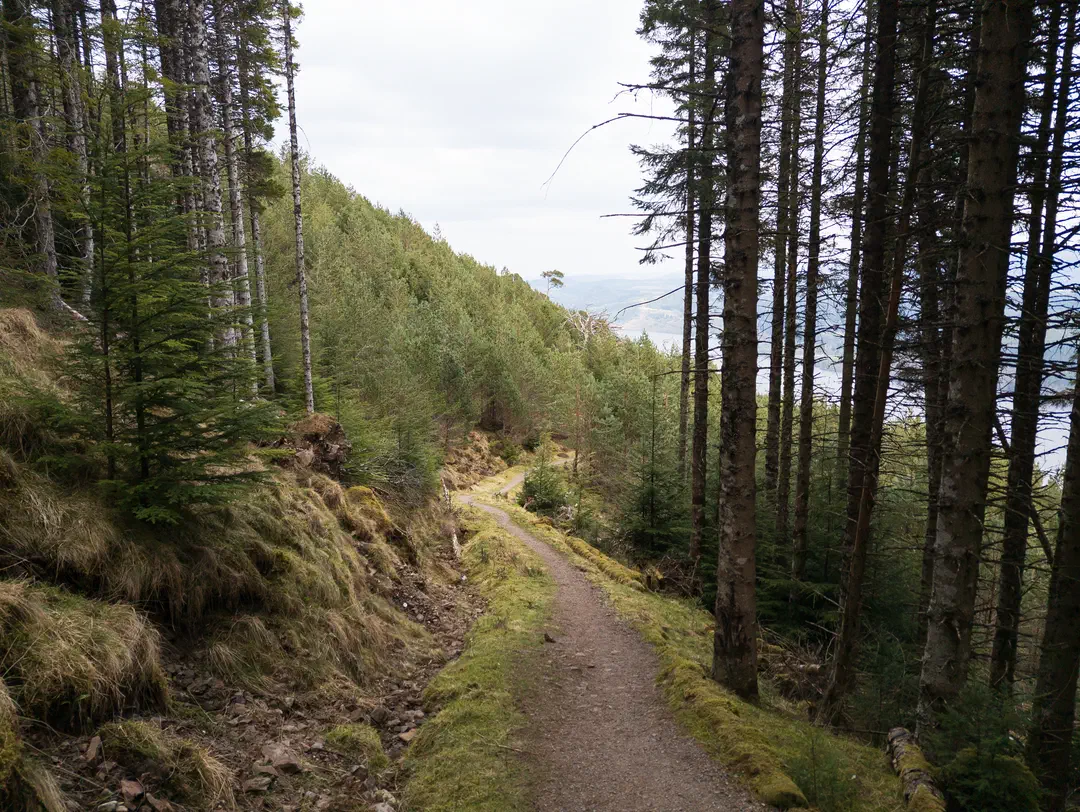 /img/ScotLand_GreatGlenWay_Day1/ScottLand-241.png