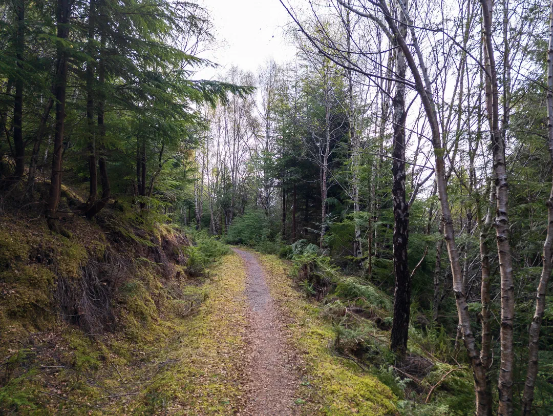 /img/ScotLand_GreatGlenWay_Day2/ScottLand-246.png