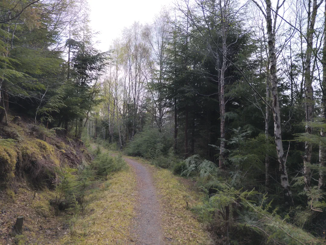/img/ScotLand_GreatGlenWay_Day2/ScottLand-247.png