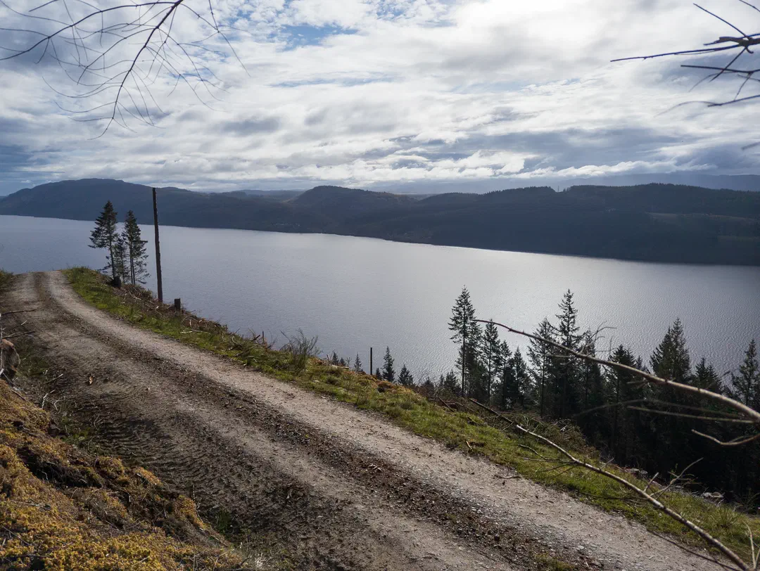 /img/ScotLand_GreatGlenWay_Day2/ScottLand-249.png