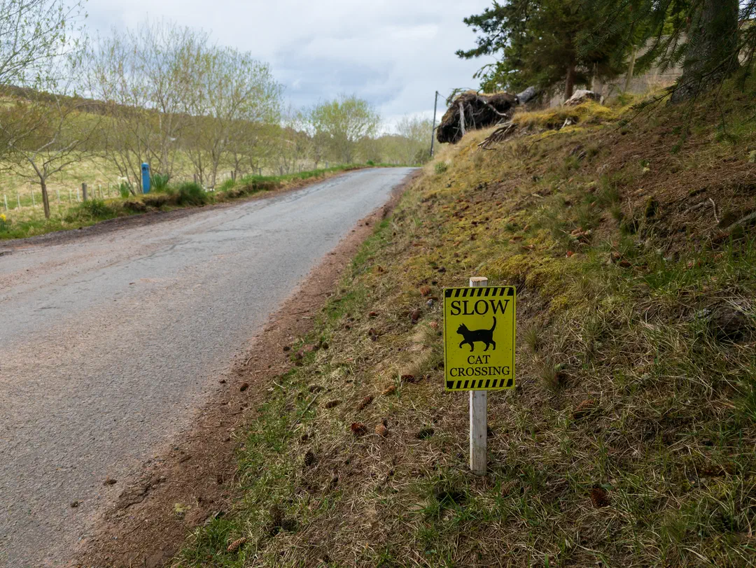 /img/ScotLand_GreatGlenWay_Day2/ScottLand-250.png