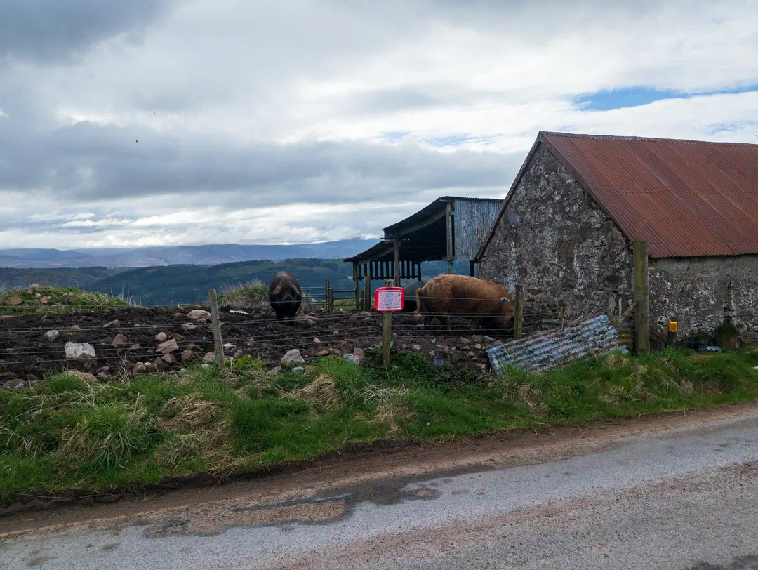 /img/ScotLand_GreatGlenWay_Day2/ScottLand-251.png